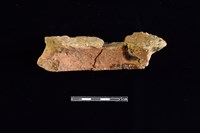 陶片藏品圖，第2張